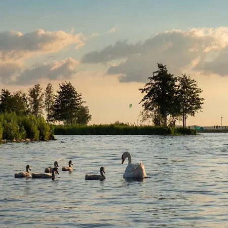 Lifestyle Cube Mit Dachterrasse Meerblick Und
